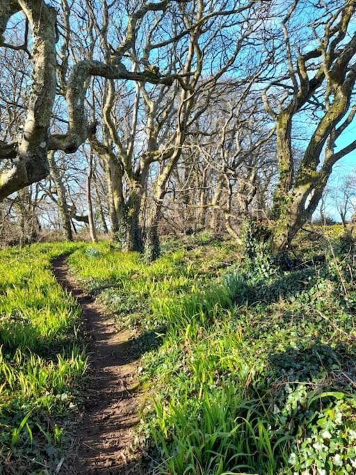 Cosy Country Getaway, 5 Mins From The Sea Penzance Exterior foto