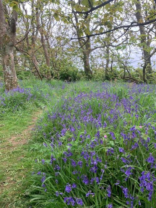 Cosy Country Getaway, 5 Mins From The Sea Penzance Exterior foto
